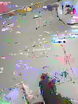 Show webcam de nithisg1223