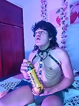Show de webcam de spxtrum_CS
