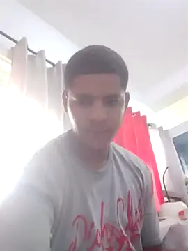 Mithckey webcam show