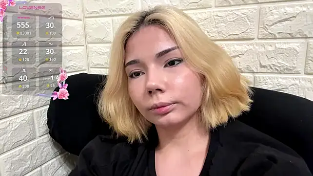 Show webcam de VersieWoodal