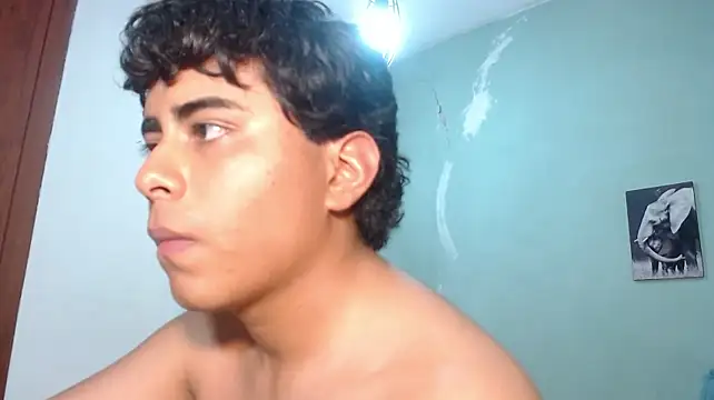 stefano_pieron Webbikameraesitys