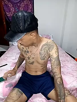 Show de webcam de Halconvip