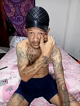 Halconvip Webcam show