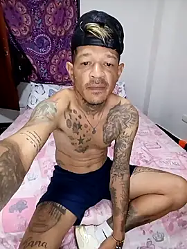 Halconvip Webcam show