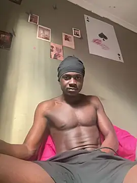 Show webcam de black_py