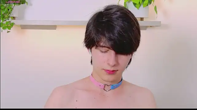 Show webcam de JeyboiXO