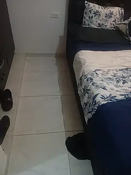 Show de Elcontadorysusecretaria na webcam