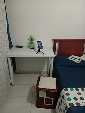 Show modela Elcontadorysusecretaria na web-kameri
