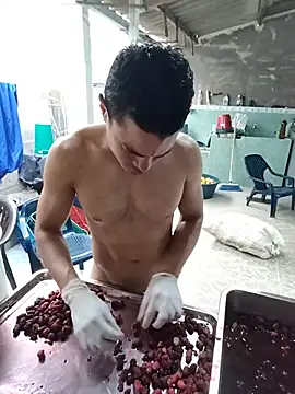Show webcam de bullsex12