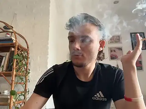 Show de webcam de BoyWithToys1