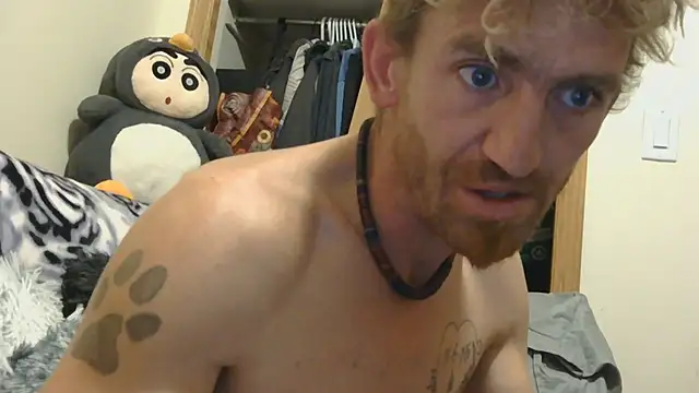 Show webcam de stich_wants_babmi