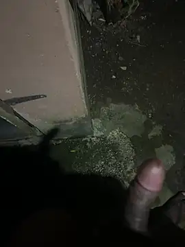 Show Webcam de david0white1