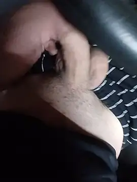 scania16 webcam show