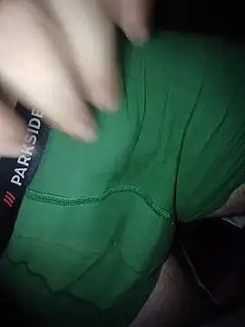 scania16 Webcam Show