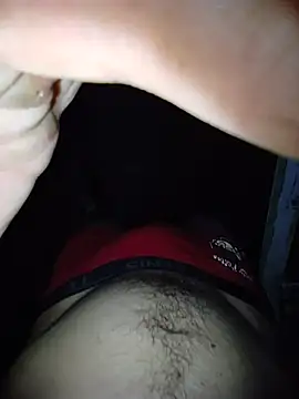 Show webcam de scania16