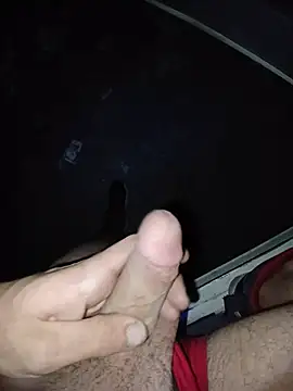 הופעת וובקאם של scania16