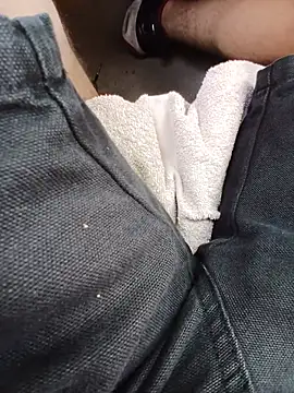 scania16 Show in webcam