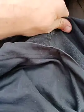scania16 Show in webcam