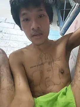 Teamnoi Pertunjukan Webcam