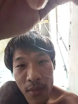 Teamnoi Pertunjukan Webcam