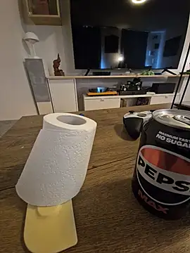 Pertunjukan Kamera Web Prinsen1978