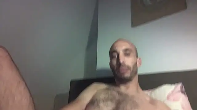 Show webcam de CAT-AND-KITTY