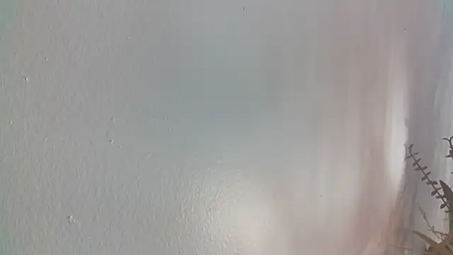 nastydianastrips' Live Chat Room