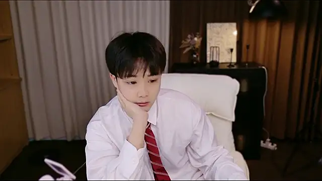 CaiYizhixun Webcam-Show
