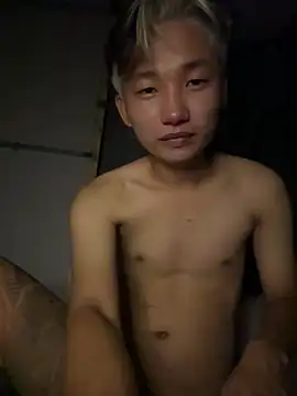 Show Webcam de linhfag