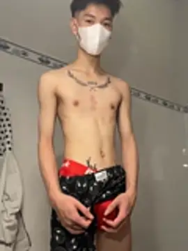 הופעת וובקאם של linhfag