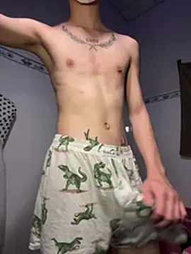 linhfag's Webcam Show