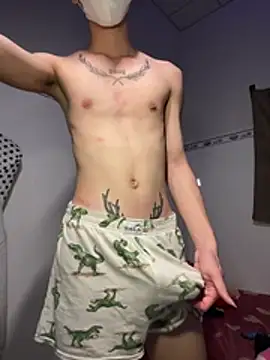 linhfag Webcamshow