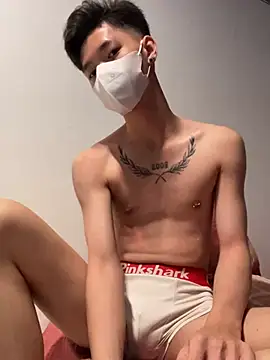 Show de webcam de linhfag