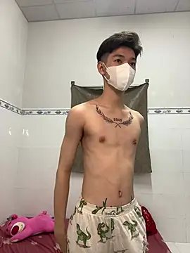 Show Webcam de linhfag