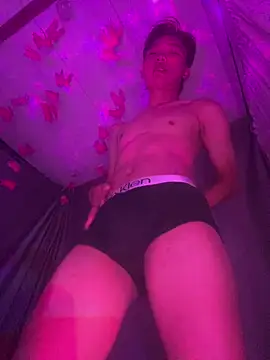linhfag webcam show