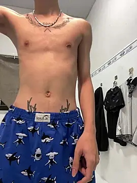 הופעת וובקאם של linhfag