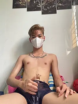 הופעת וובקאם של linhfag