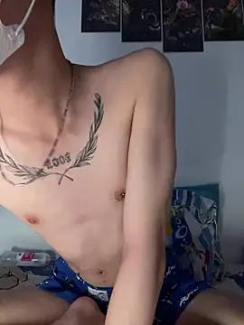 Show webcam de linhfag