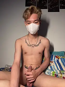 Show de webcam de linhfag