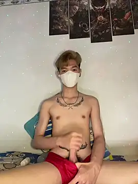 הופעת וובקאם של linhfag