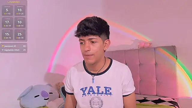 Show Webcam de teobuff