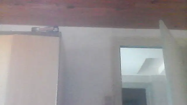 Show webcam de AIDIl63