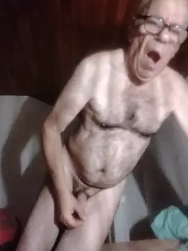 Show webcam de AIDIl63