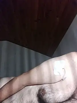 AIDIl63n Webbikameraesitys
