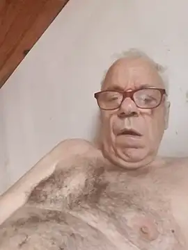 AIDIl63 Show in webcam