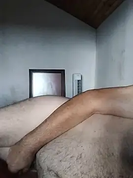 Show webcam de AIDIl63