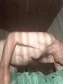 Show webcam de AIDIl63