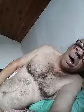 Show modela AIDIl63 na web-kameri
