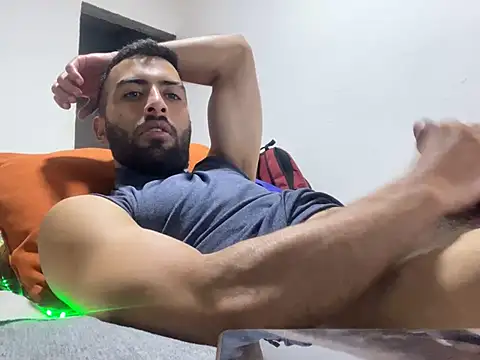 Andressch07n Webbikameraesitys