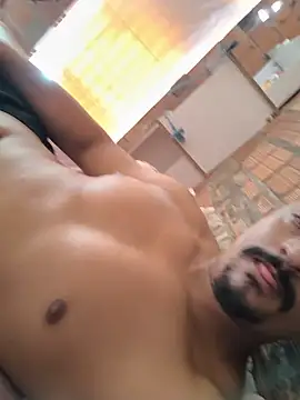 PlayerModel Webcam show